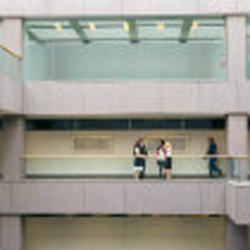 From application to interview: how our students find (and thrive in) internships
