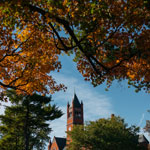 Four professors appointed to new endowed chair and professorship positions this fall