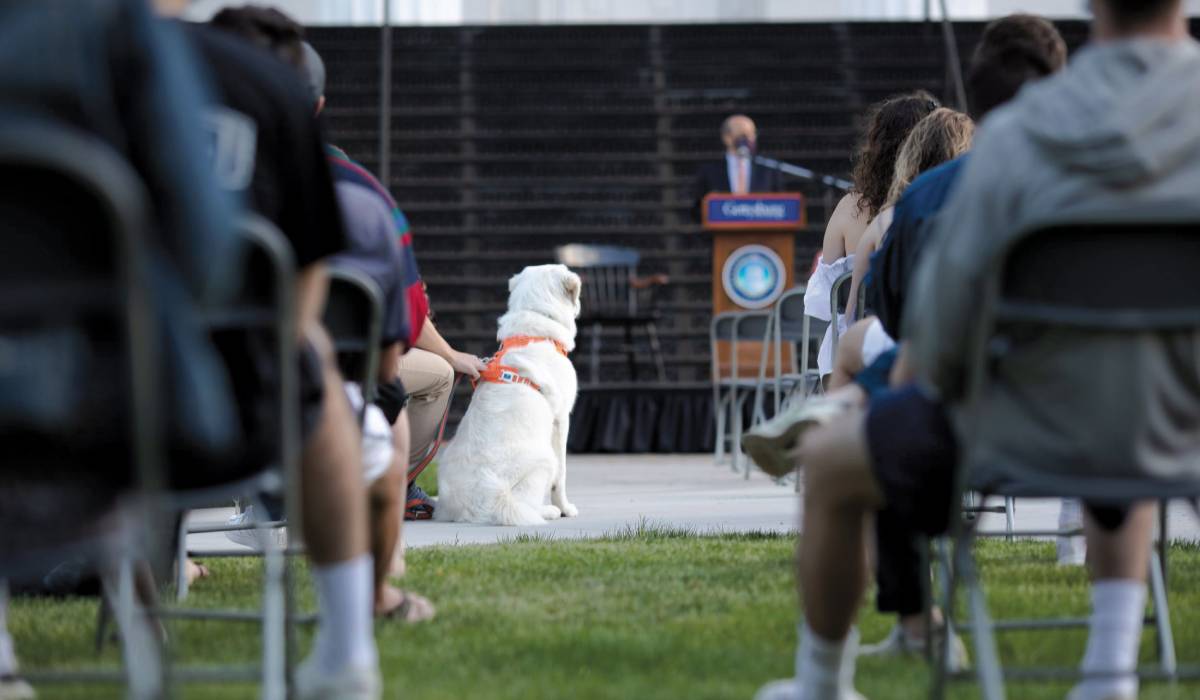 Image of Chiquita, a Great Pyrenees and Maremma mix, with Daniel Ziegler &rsquo;21