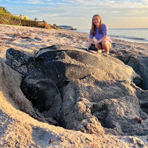 Photograph of Bethany Holtz next to a large turtle on a sandy beach