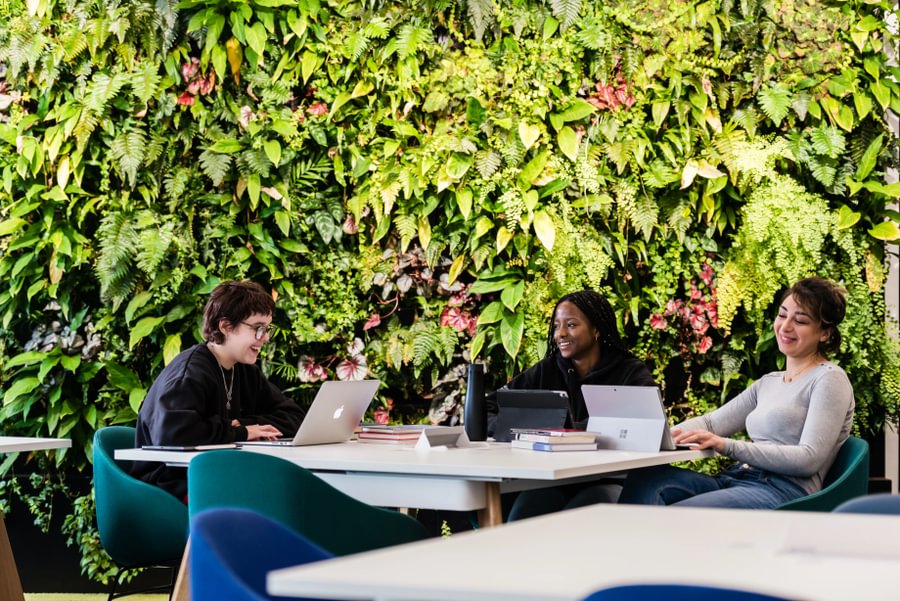  A group of students study together next to the living wall in Lancaster University&rsquo;s library.