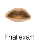 Final exam 