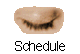  Schedule 